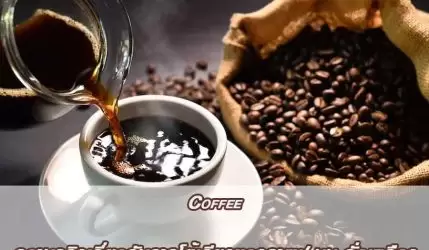 Coffee ความจริงเกี่ยวกับการโต้เถียงของกาแฟ นม ถั่วเหลือง